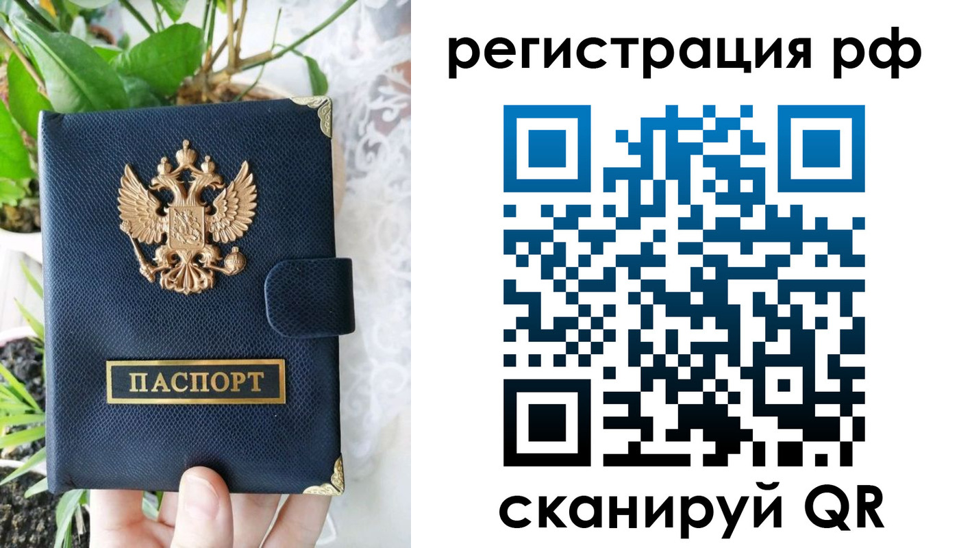 прописка поиск в Ковдоре